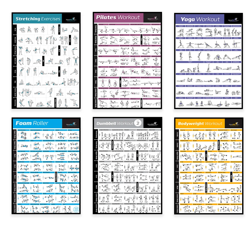 Body Exercise Training Chart W - Health Wellness And Fitness review and price