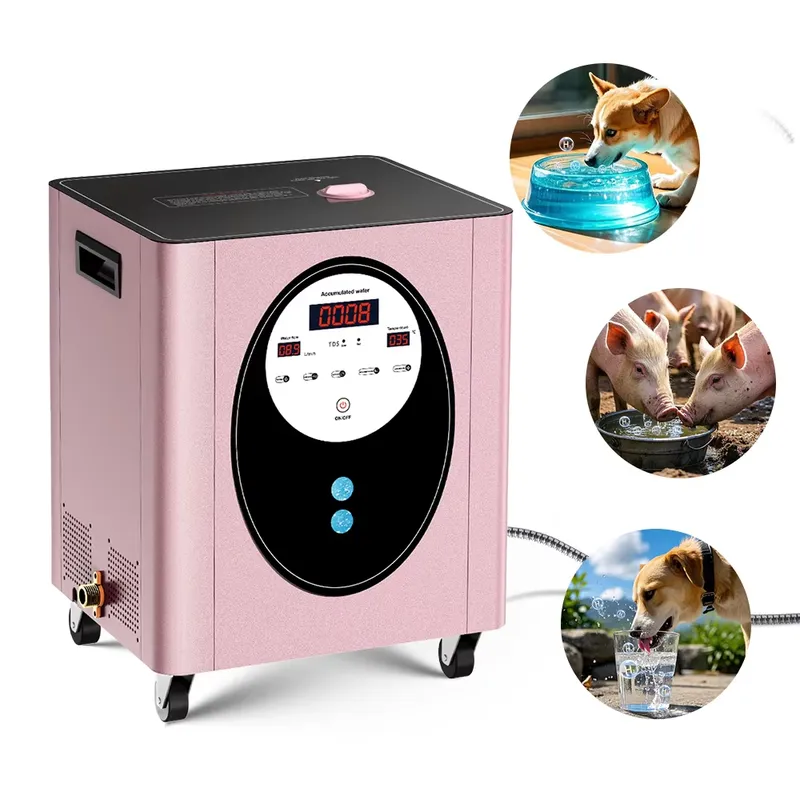 Suyzeko Biohacking Longevity W - Health Wellness Club review and price