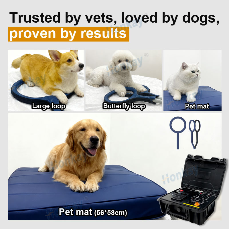 Personal Pet Care PEMF Device  - Health Wellness Massage review and price