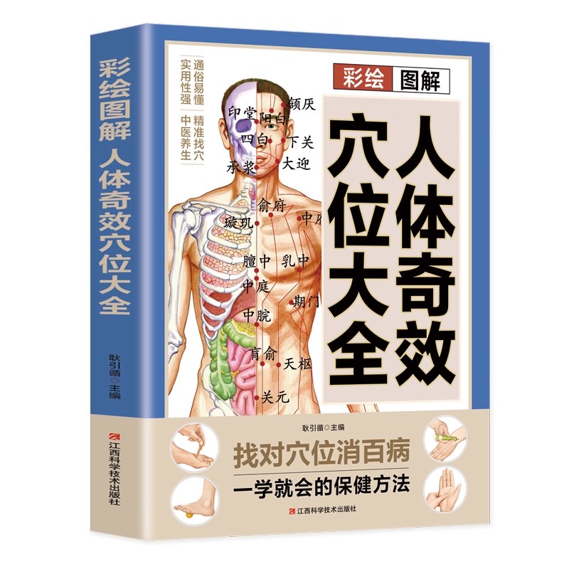 Complete Guide to Acupoint Mas - Health & Wellness Fair 2025 review and price
