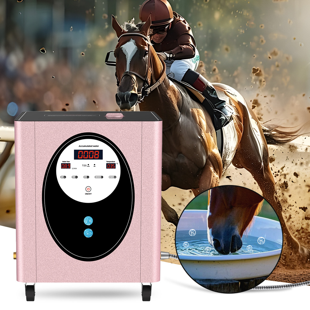 SUYZEKO Whole House Hydrogen W - Health Wellness Club review and price